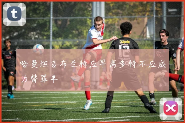 哈曼坦言布兰特应早离多特不应成为替罪羊